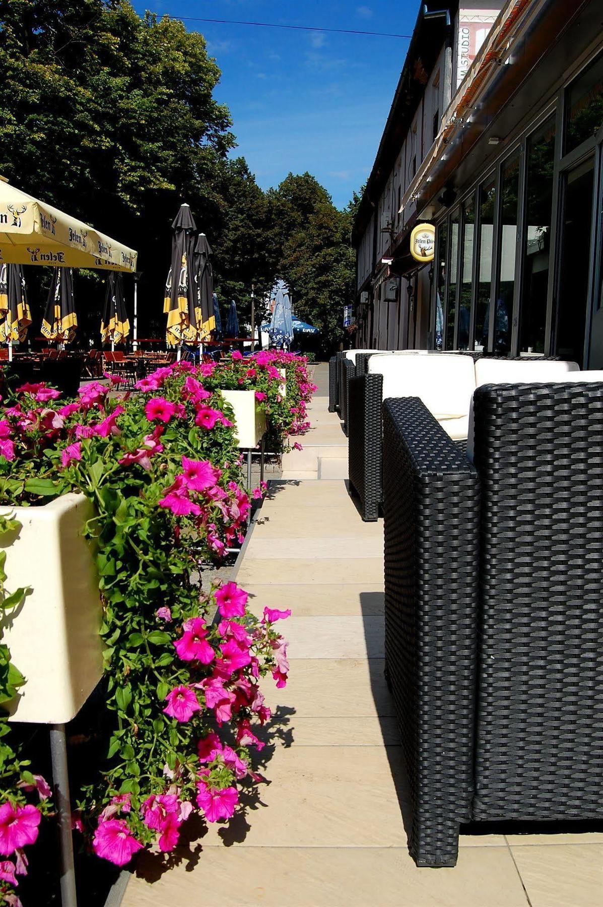 Hotel Tiski Cvet Novi Bečej Exteriör bild